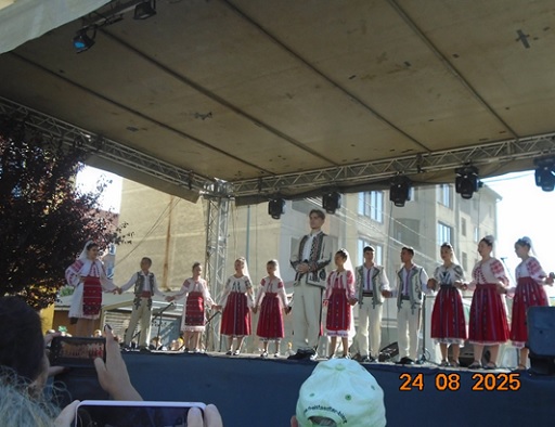 Festival Momarlanii Gazde Bune scena